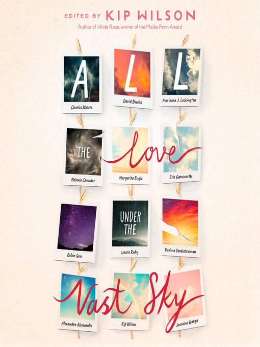 Title details for All the Love Under the Vast Sky by Kip Wilson - Available